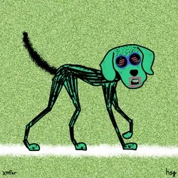 dog #625