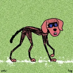 dog #2457