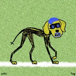 dog #2458