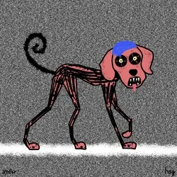 dog #937