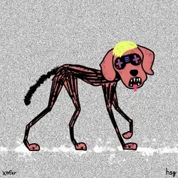 dog #207