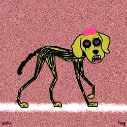 dog #1244