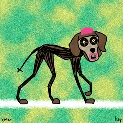 dog #1113