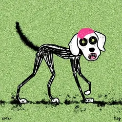 dog #1114