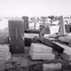 Returned, Fukushima, 2018