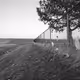 Windswept, Wichita, 2018