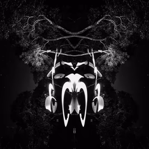 Creatures in the Light