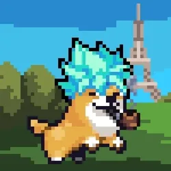 Space Shibe