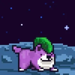 Space Shibe