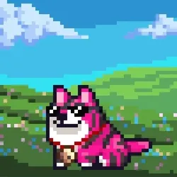 Space Shibe