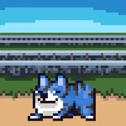Space Shibe
