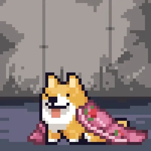Space Shibe