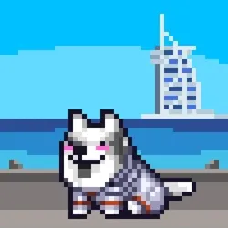 Space Shibe
