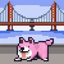 Space Shibe