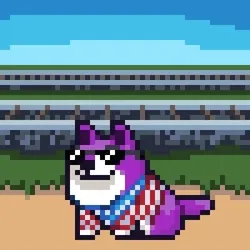 Space Shibe