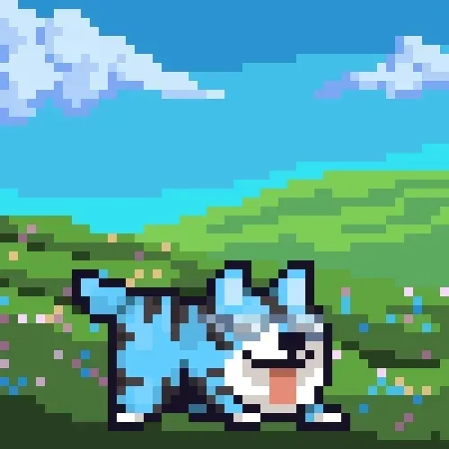 Space Shibe