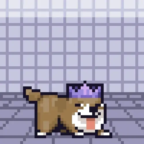 Space Shibe