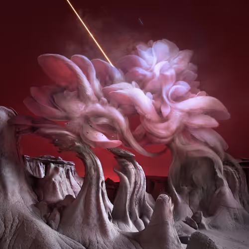 METAMORPHE Jenni Pasanen X Reuben Wu