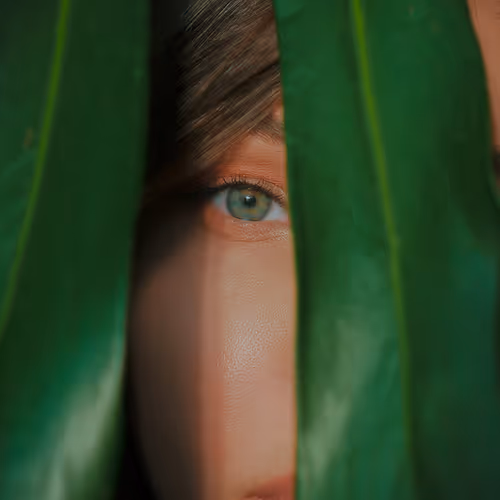 Peeping 1