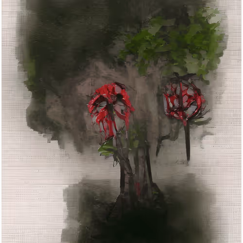 Spring Miaura
