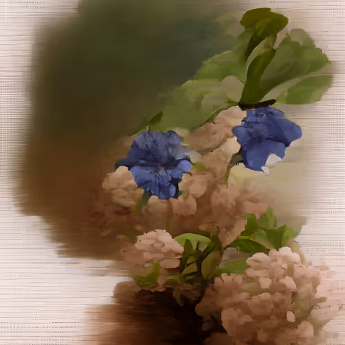 Spring Miaura