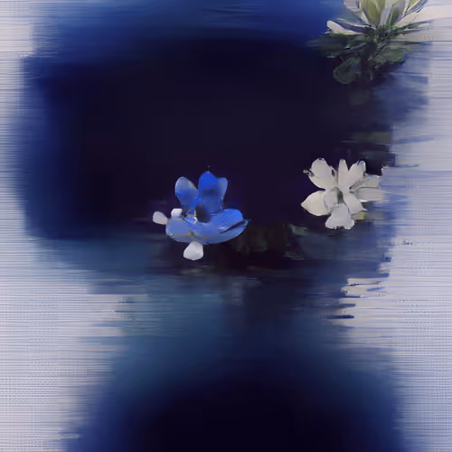 Spring Miaura