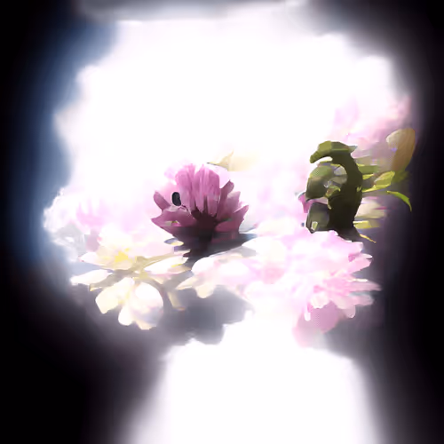 spring miaura #269