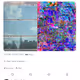 United Glitched Nations (The Tweet)