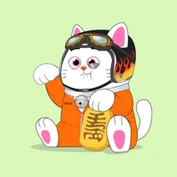 Lucky Neko #4564