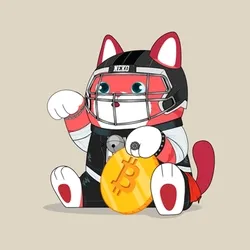 Lucky Neko #2342