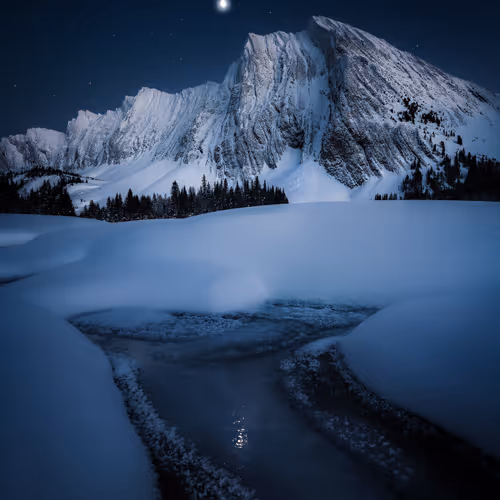 Editions - Jenna Dixon