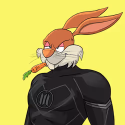 Light Super Bunny #2479