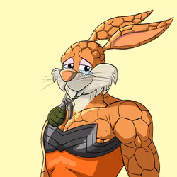 Light Super Bunny #3660