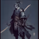 Minamoto V2