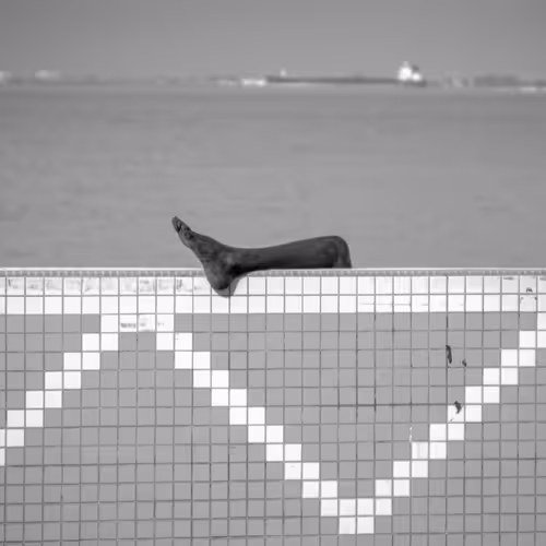 Black & White - X1iDhUC5nI
