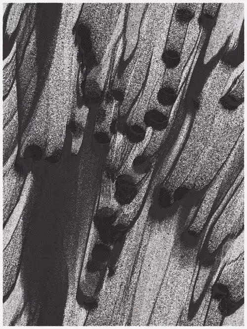 Item #4083189639 Media