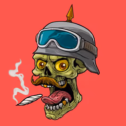 CrazySkull #3798