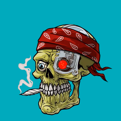 CrazySkull #9123