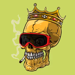 CrazySkull #9644
