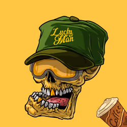 CrazySkull #5365
