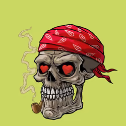 CrazySkull #5434