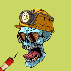 CrazySkull #2880