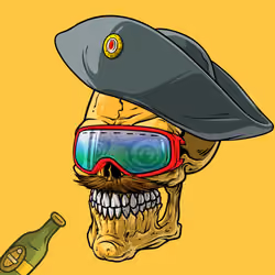 CrazySkull #1813
