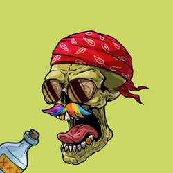 CrazySkull #5263