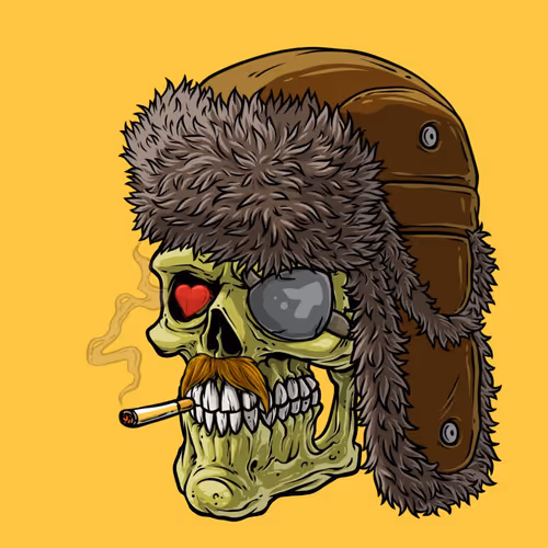 CrazySkull #8382