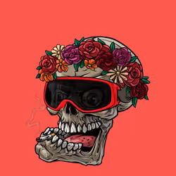 CrazySkull #4825