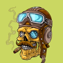 CrazySkull #4943