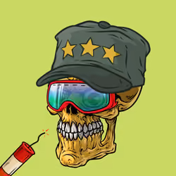 CrazySkull #5342