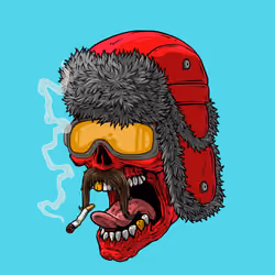 CrazySkull #8172