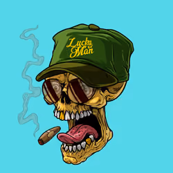 CrazySkull #5884